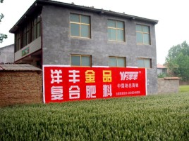 五峰如何让墙体广告展现最大化效果